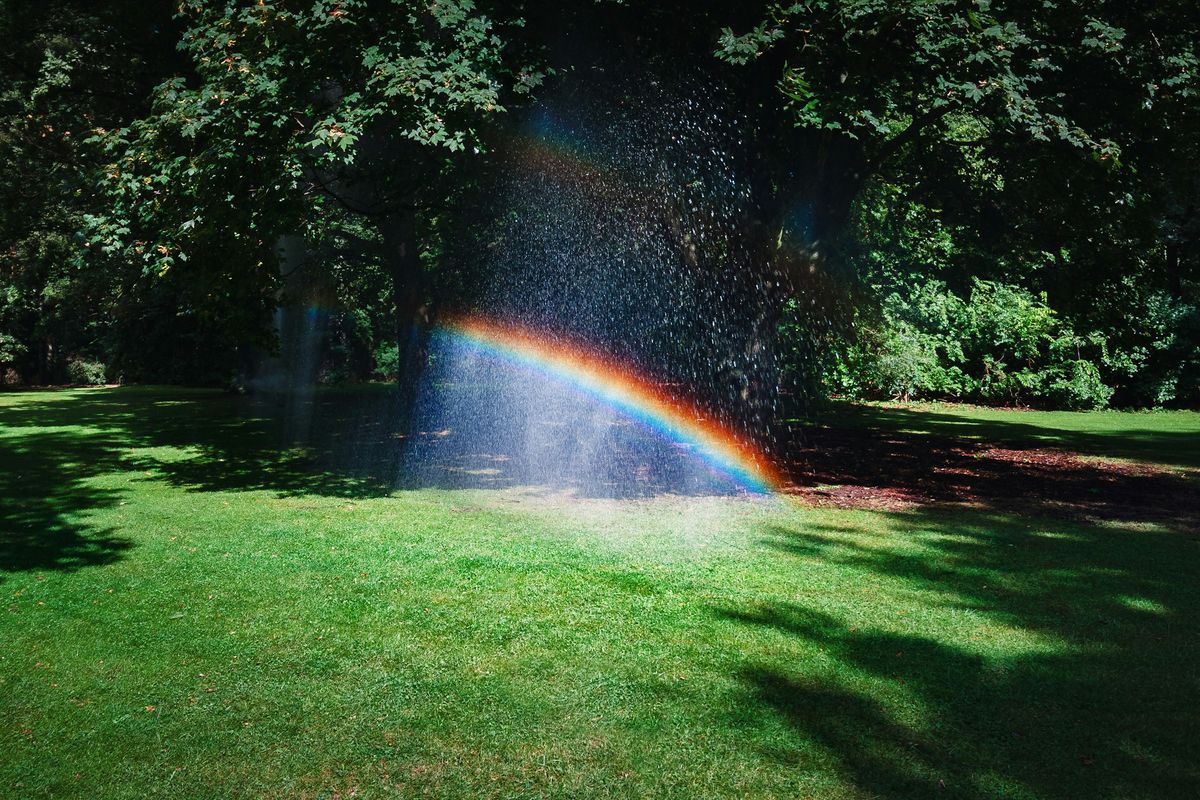 Irrigazione del prato con arcobaleno