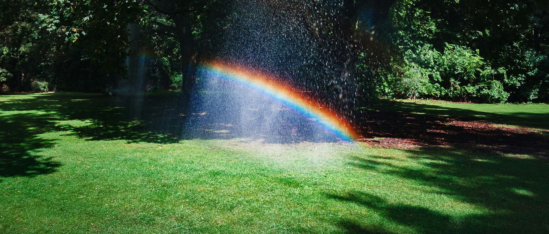 Irrigazione del prato con arcobaleno