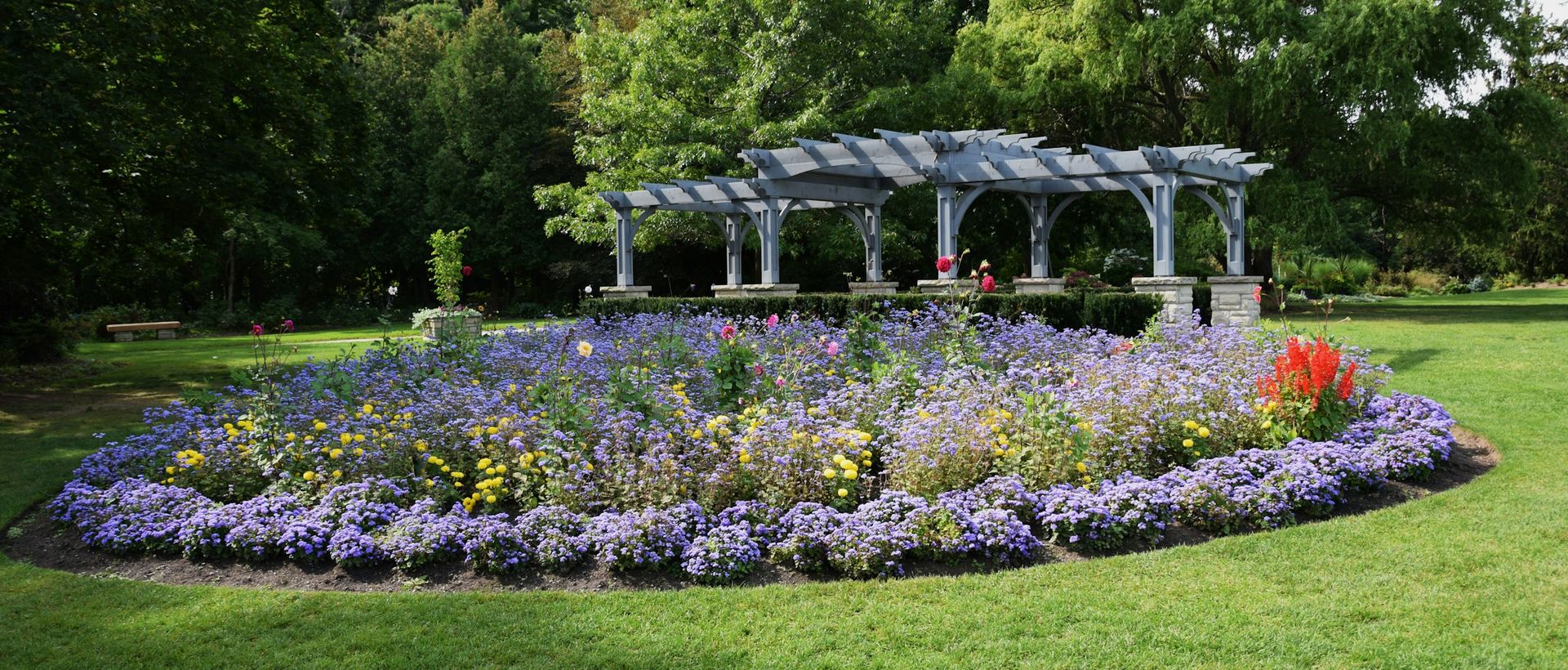 Aiuola fiorita con pergola