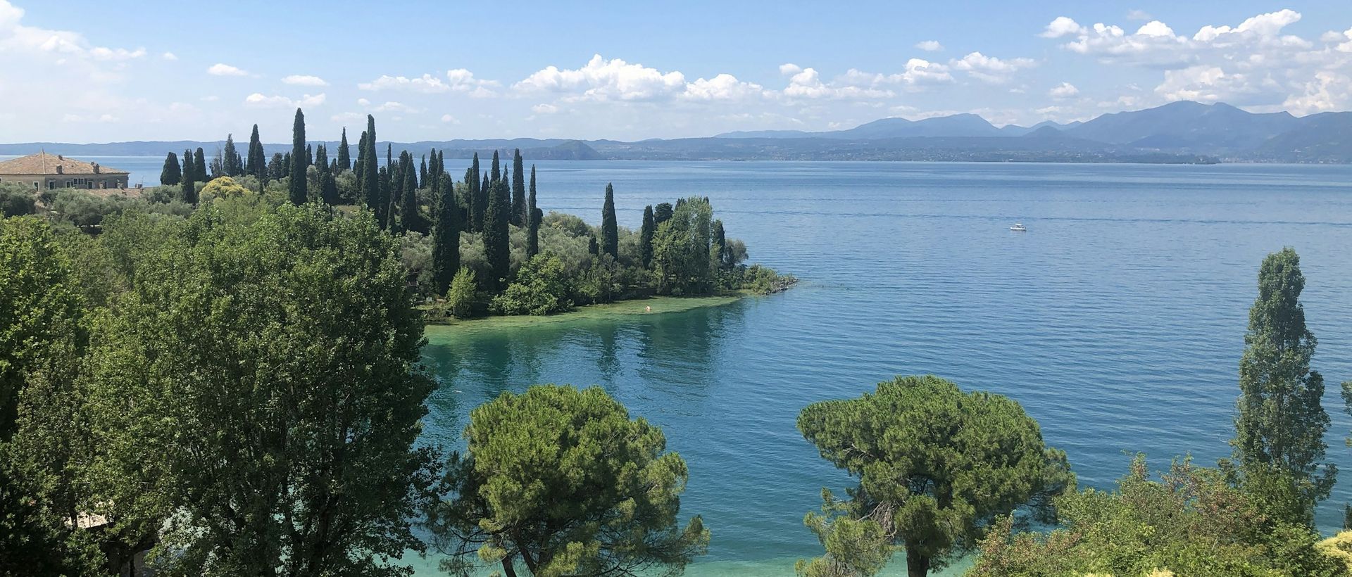 Riva con cipressi e acqua limpida