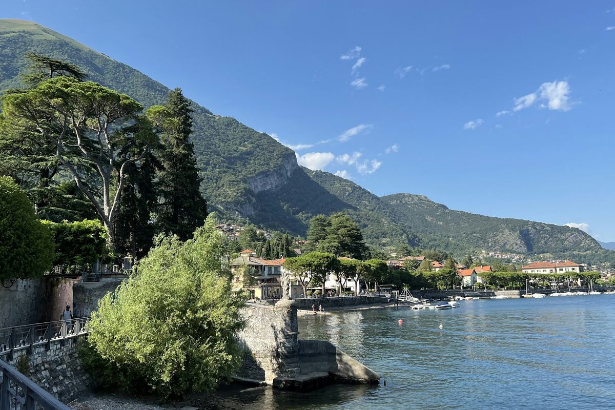 Giardino con cedri sul lago