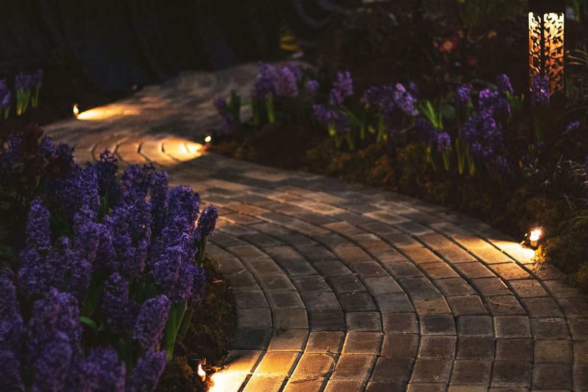 Vialetto illuminato tra i giacinti