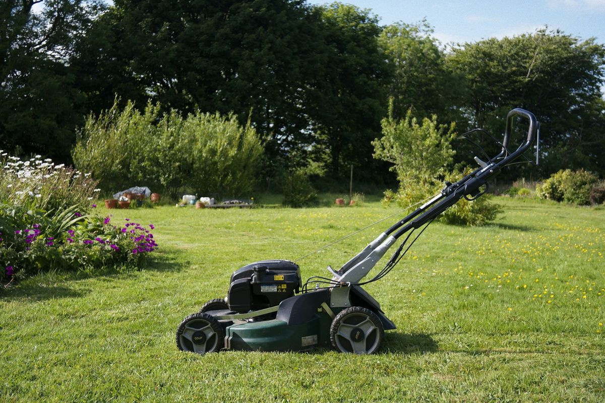 Tosaerba sul prato del giardino