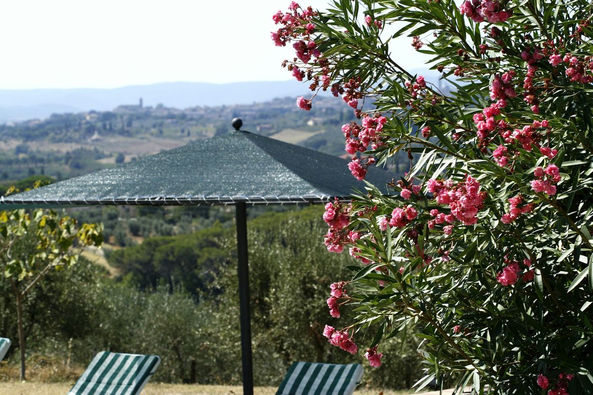 Ombrellone tra oleandri e colline