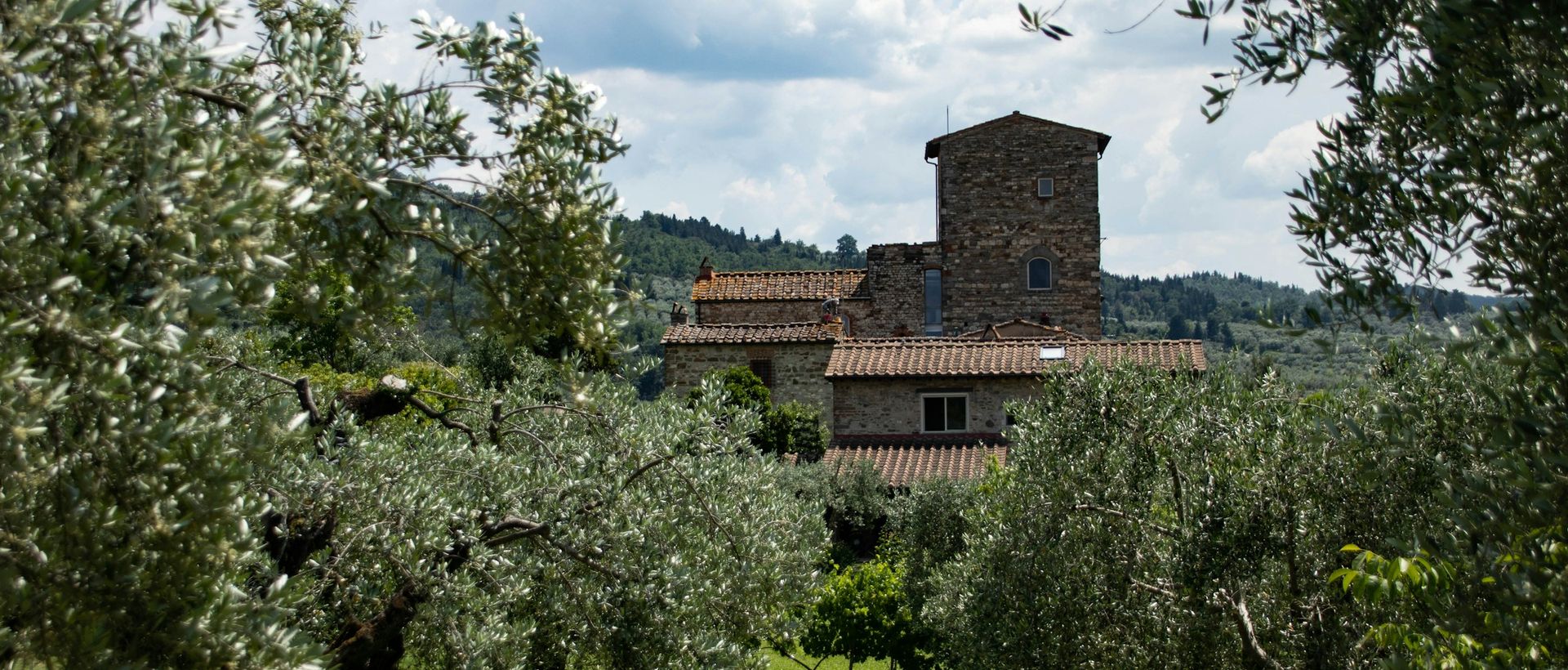 Casa in pietra tra gli ulivi