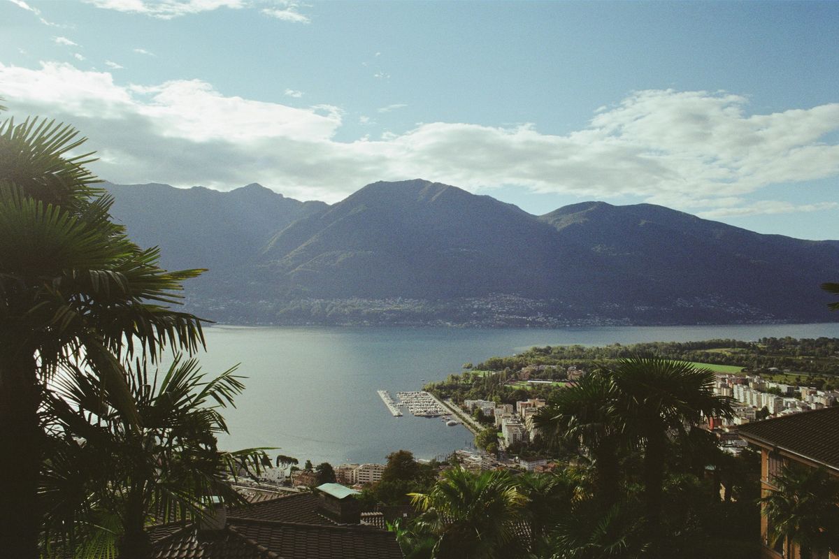 Palme e Lago Maggiore