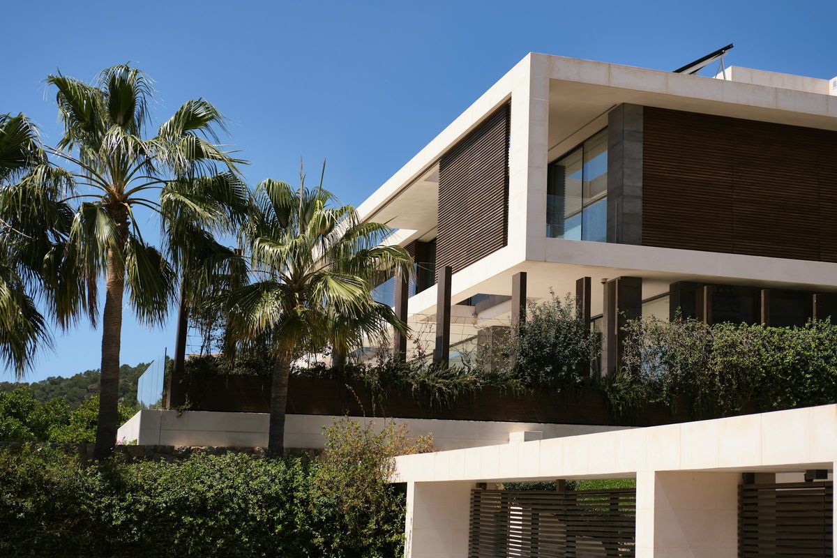 Villa moderna con palme
