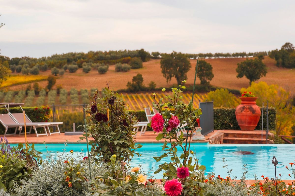 Piscina con fiori e colline