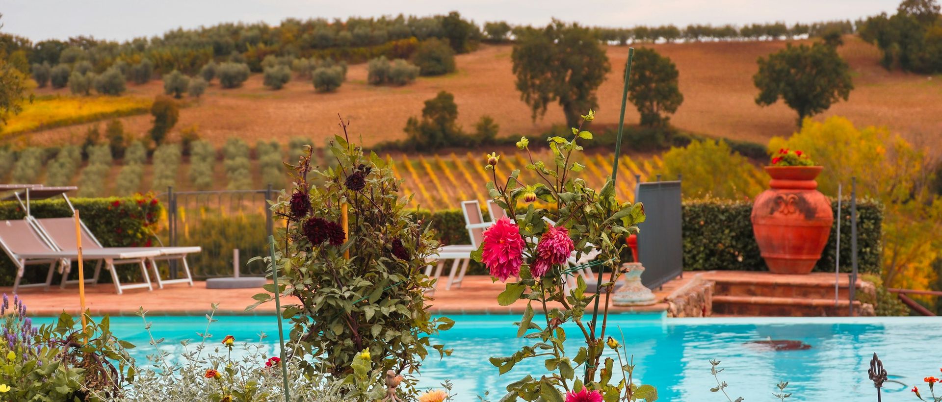 Piscina con fiori e colline