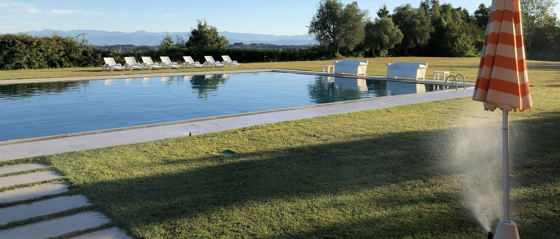 Piscina nel prato curato